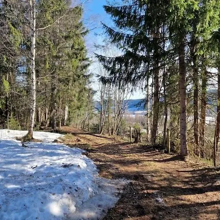 Forest Ferienhaus *
