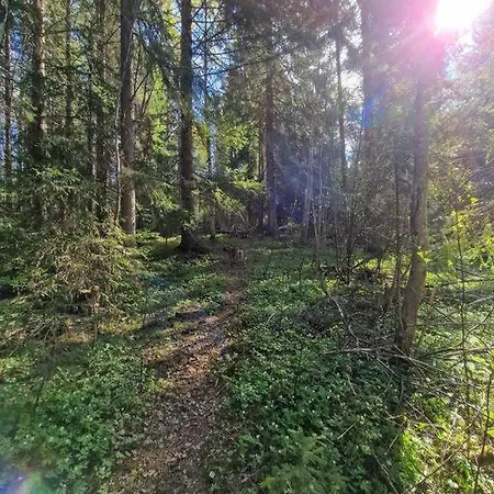 Forest Vakantiehuis *