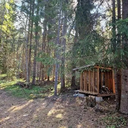 Forest Vakantiehuis Fluberg