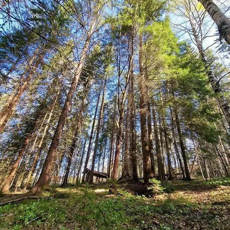 Forest Vakantiehuis Fluberg