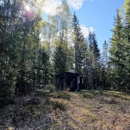 Forest Holiday home Fluberg