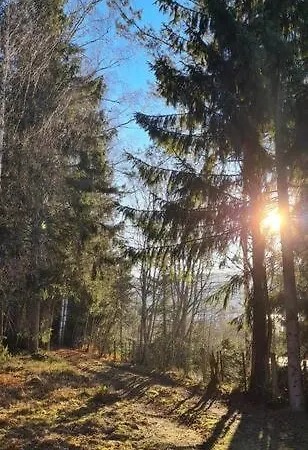 Forest Fluberg